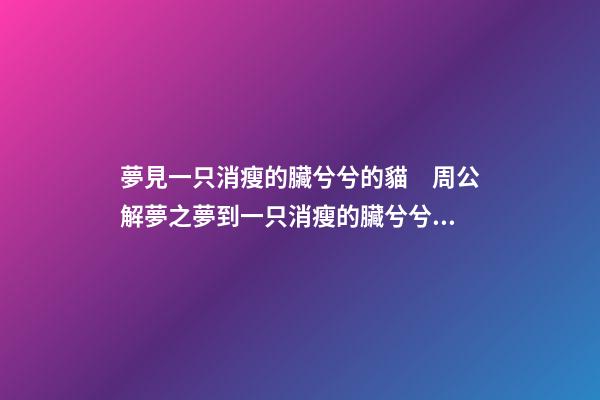 夢見一只消瘦的臟兮兮的貓　周公解夢之夢到一只消瘦的臟兮兮的貓